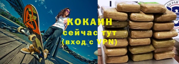 тгк Абаза