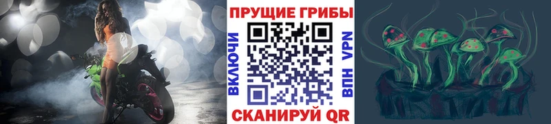 Галлюциногенные грибы Cubensis  omg ТОР  Тетюши  наркота 